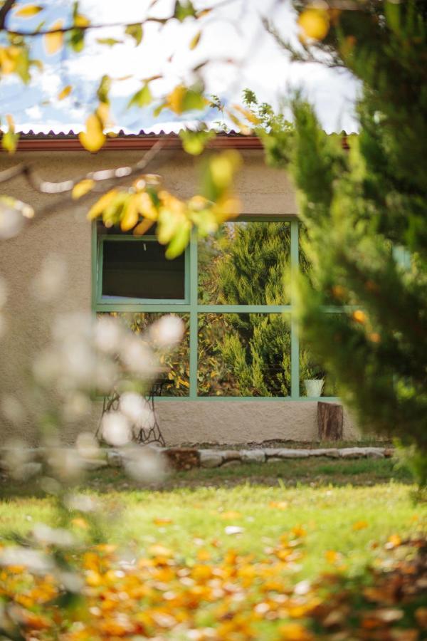 Hotel casa akacia Telawi Zewnętrze zdjęcie