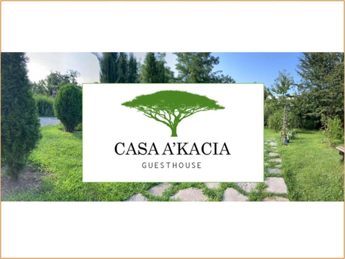 Hotel casa akacia Telawi Zewnętrze zdjęcie